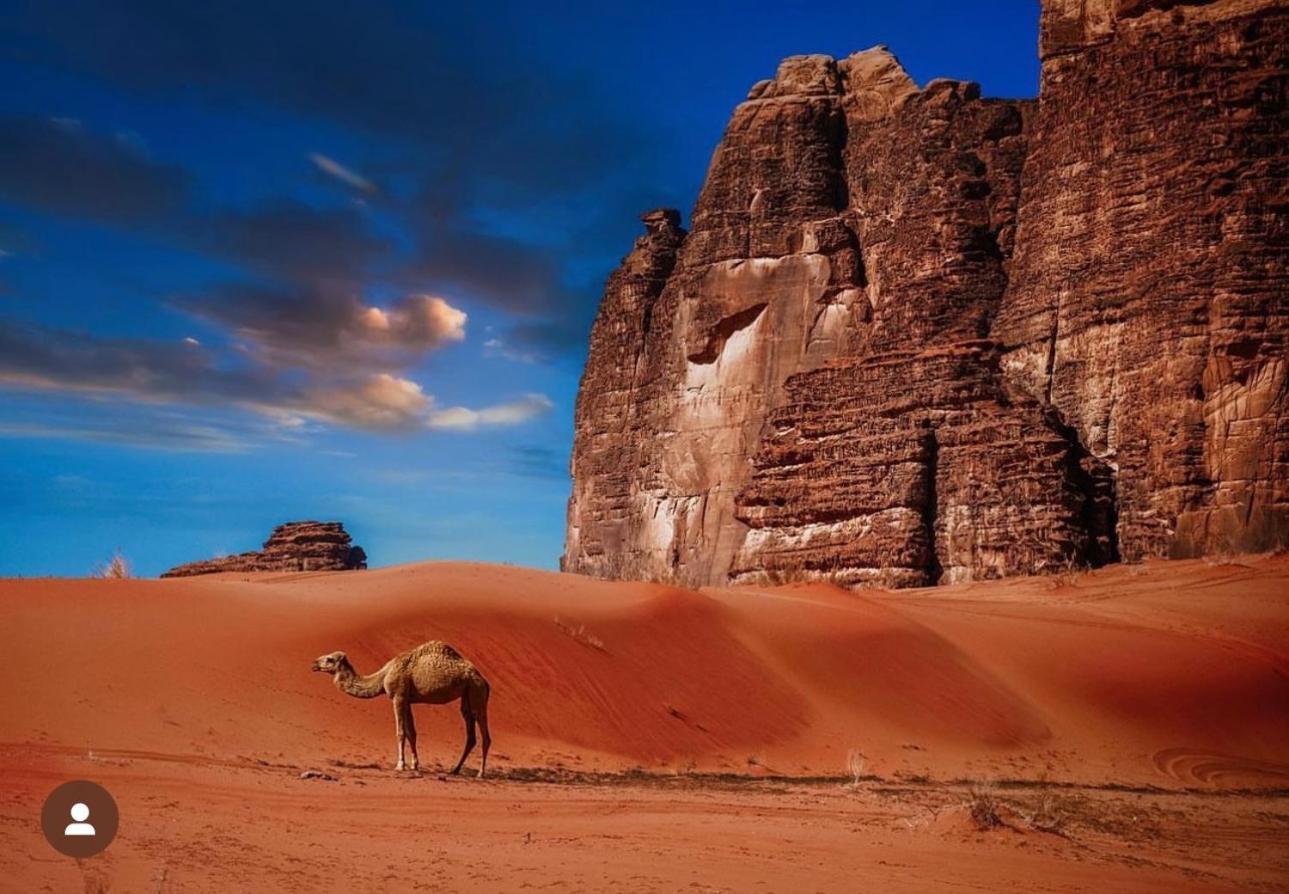 Bedouin Cave Wadi Rum Campsite Hotel Exterior photo