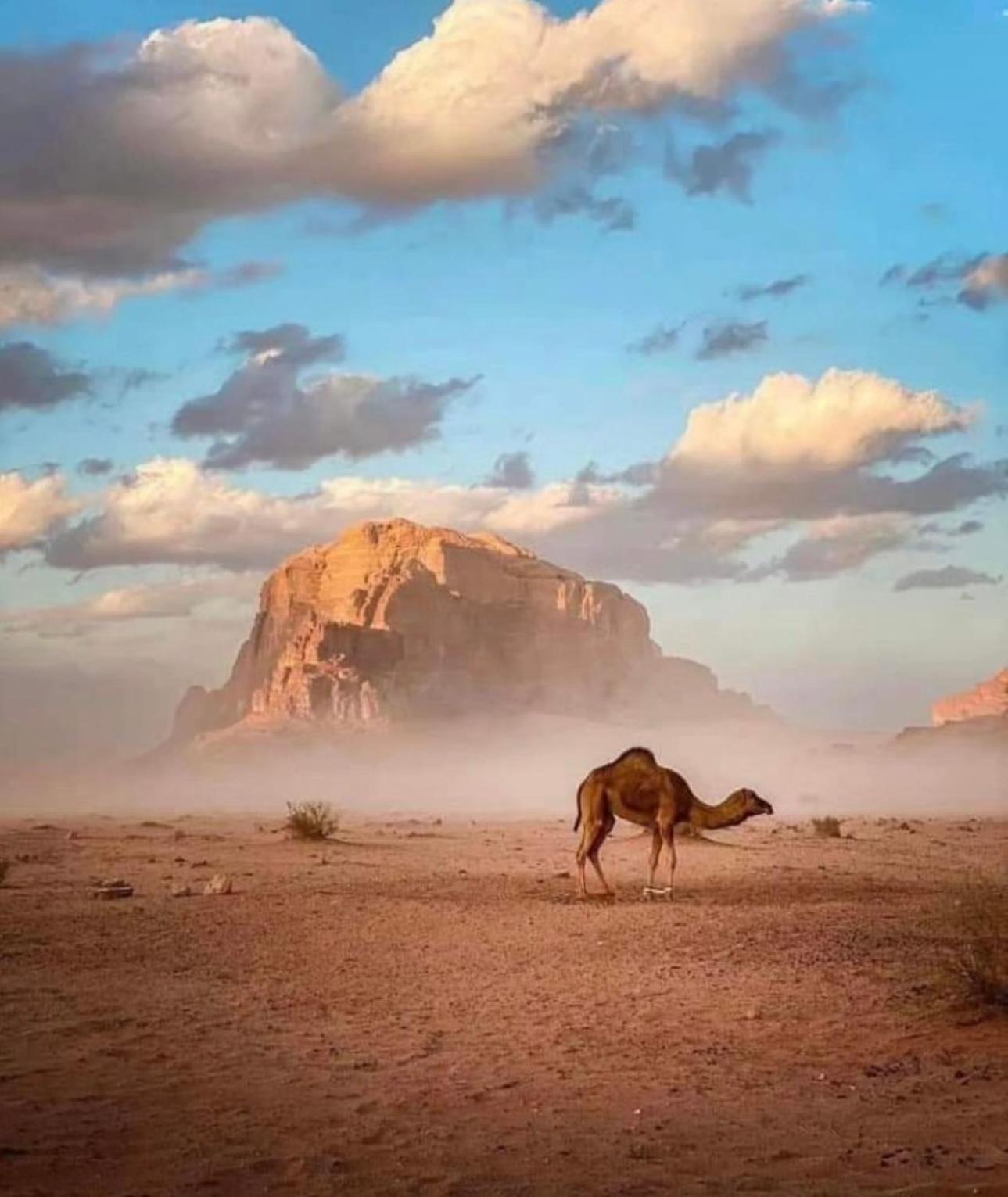 Bedouin Cave Wadi Rum Campsite Hotel Exterior photo